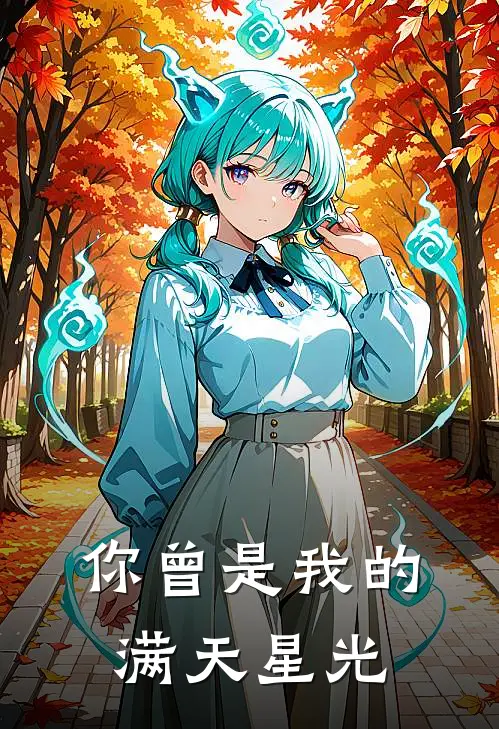 你曾是我的满天星光